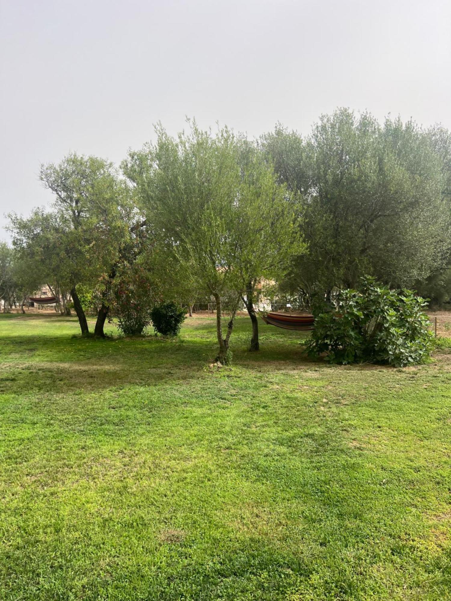 Lo Stazzo Di Wally Guest House Порто Поло Екстериор снимка